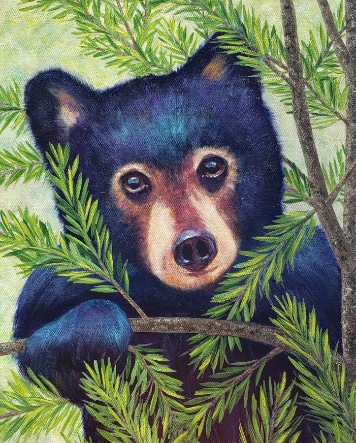 baby bear in a tree painting art print